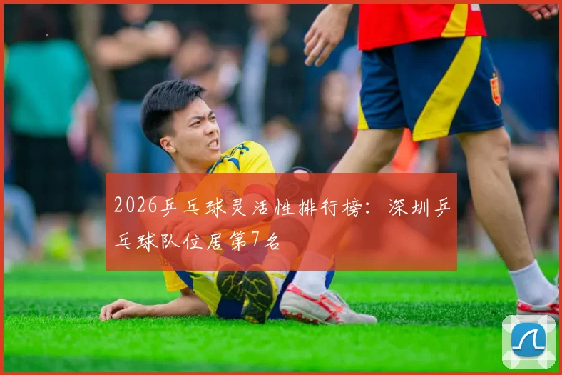 2026乒乓球灵活性排行榜：深圳乒乓球队位居第7名