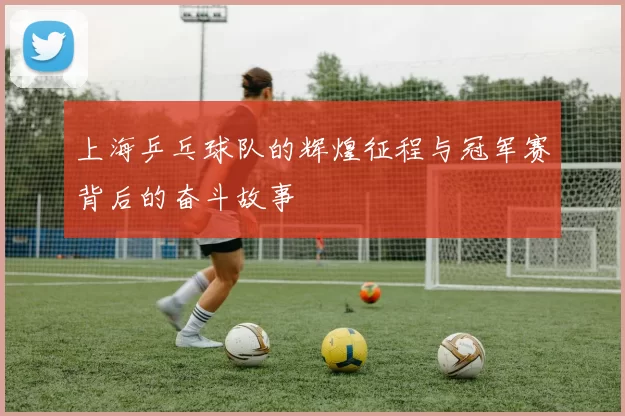 上海乒乓球队的辉煌征程与冠军赛背后的奋斗故事