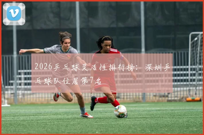 2026乒乓球灵活性排行榜：深圳乒乓球队位居第7名