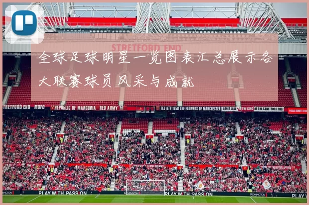 全球足球明星一览图表汇总展示各大联赛球员风采与成就